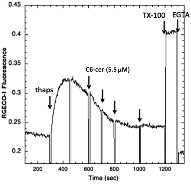 Fig. 9.