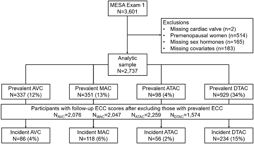 Figure 1: