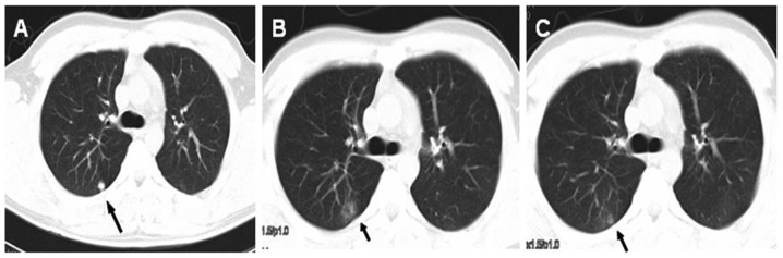 Figure 3.