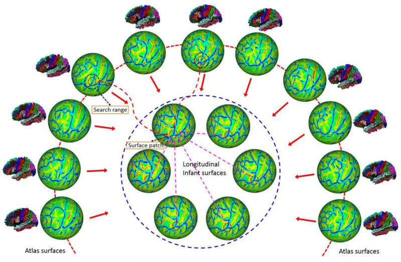 Fig. 3