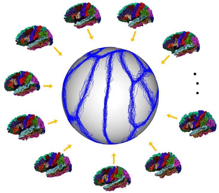 Fig. 2