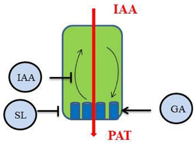 FIGURE 2