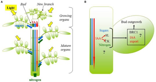 FIGURE 3