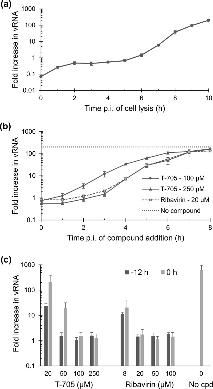 FIG 3