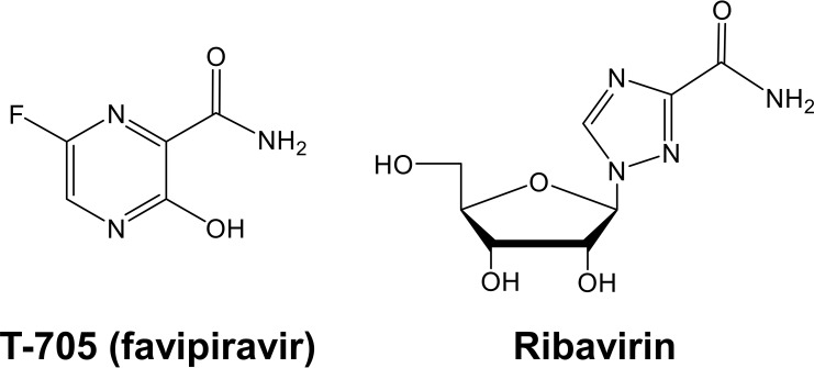 FIG 1