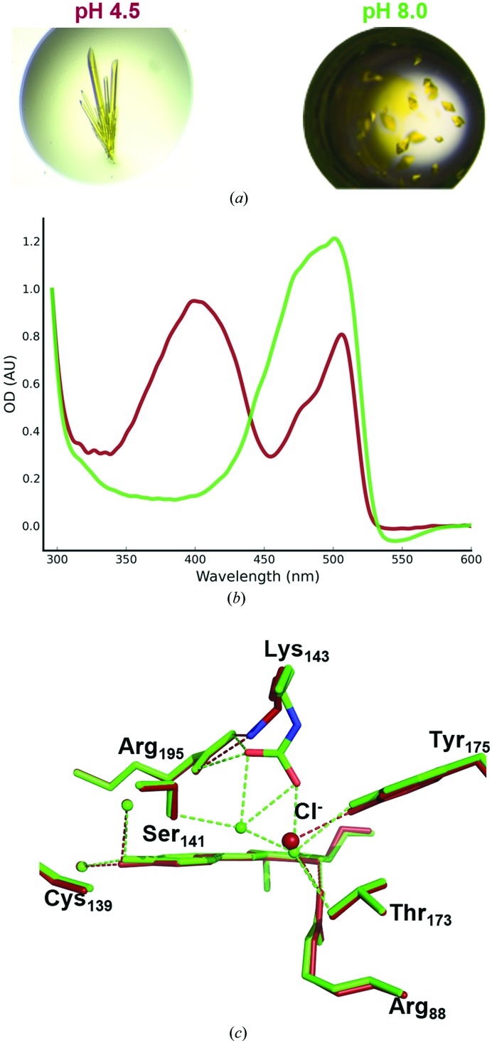 Figure 4