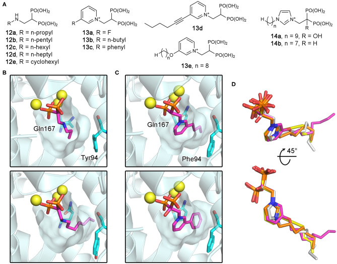 Figure 12