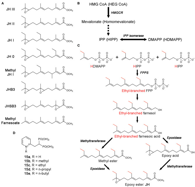 Figure 13