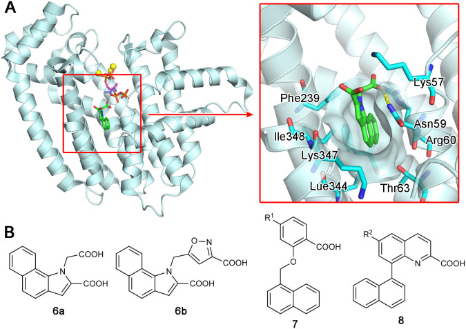 Figure 6