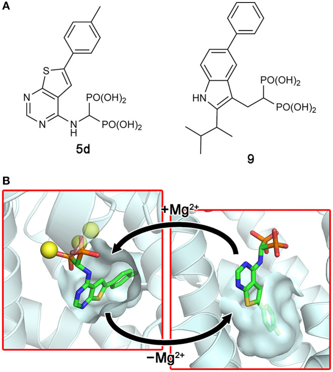 Figure 7