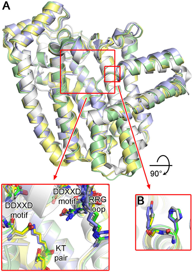 Figure 11