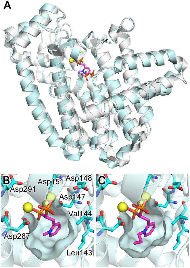 Figure 14