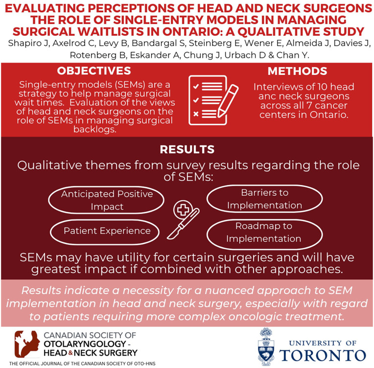 Graphical abstract