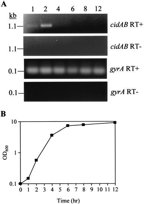 FIG. 7.