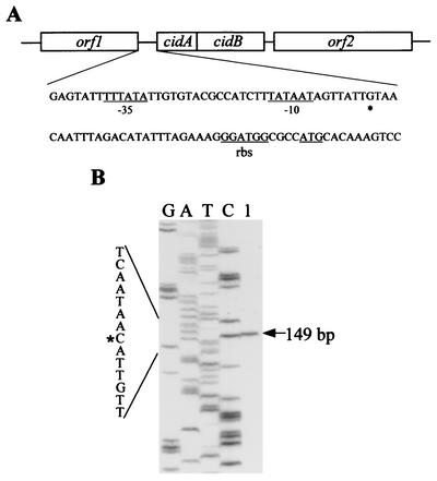 FIG. 1.