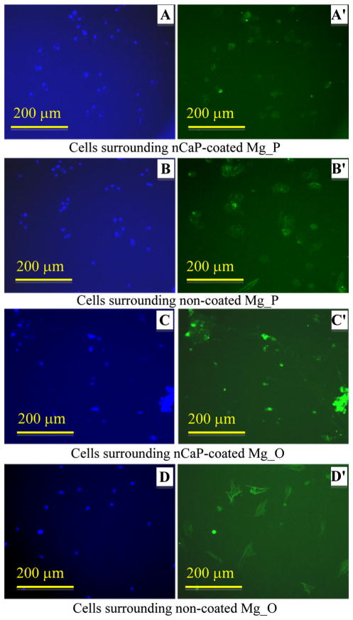 Fig. 11