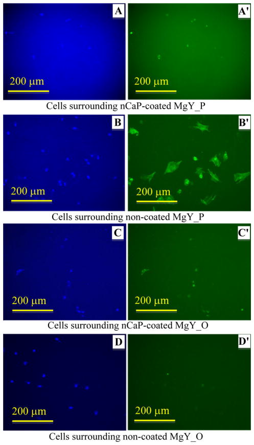 Fig. 12