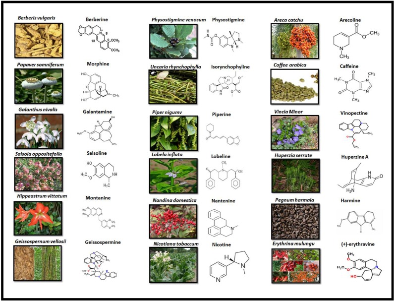 FIGURE 3