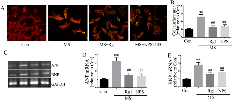 Fig. 4