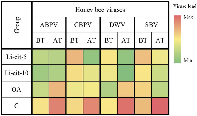 FIGURE 3