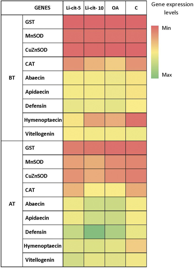 FIGURE 4