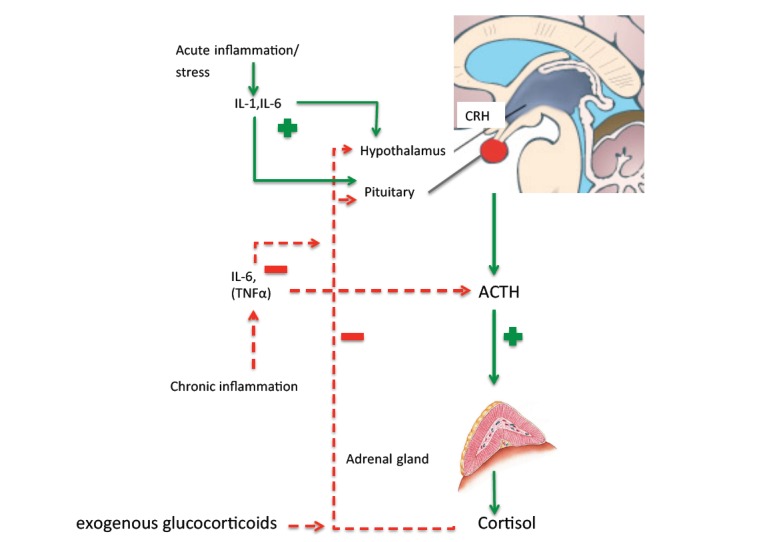 Fig. (1)