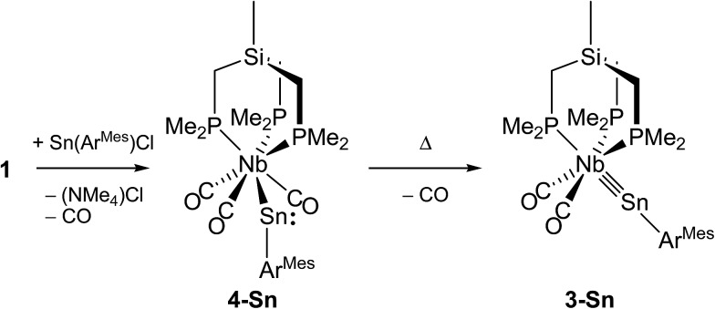 Scheme 5