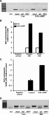 <b>FIG. 7.</b>