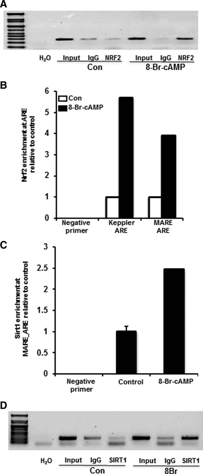 FIG. 7.