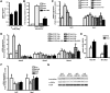 <b>FIG. 4.</b>