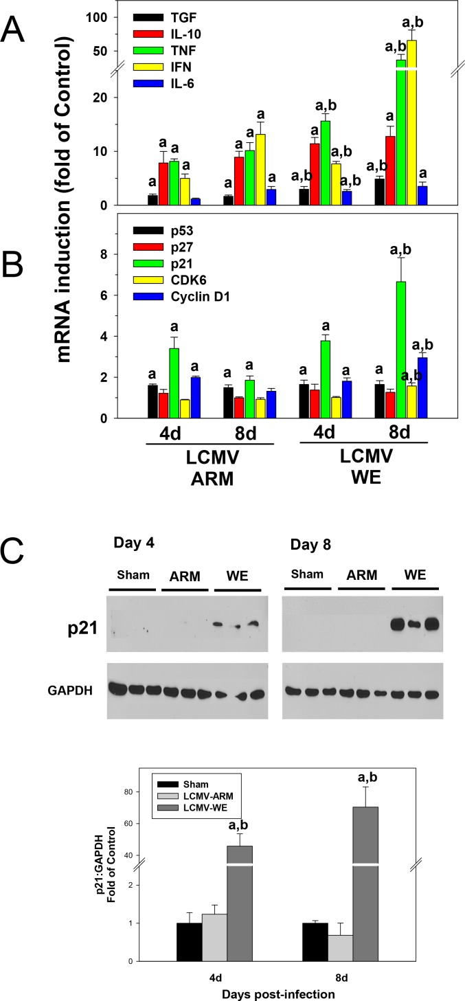 Fig 4