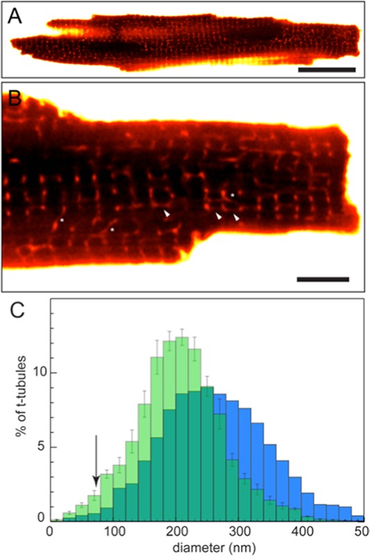 Fig 2.