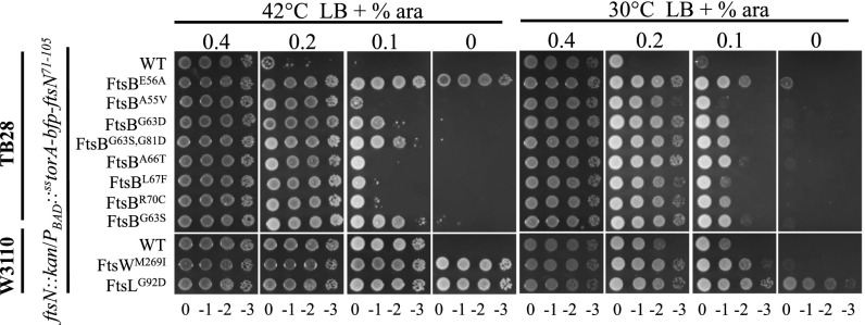 Fig. 6.