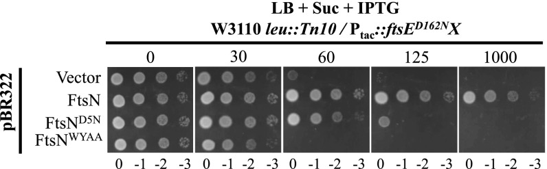 Fig. 3.