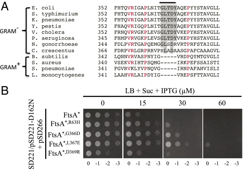 Fig. 9.