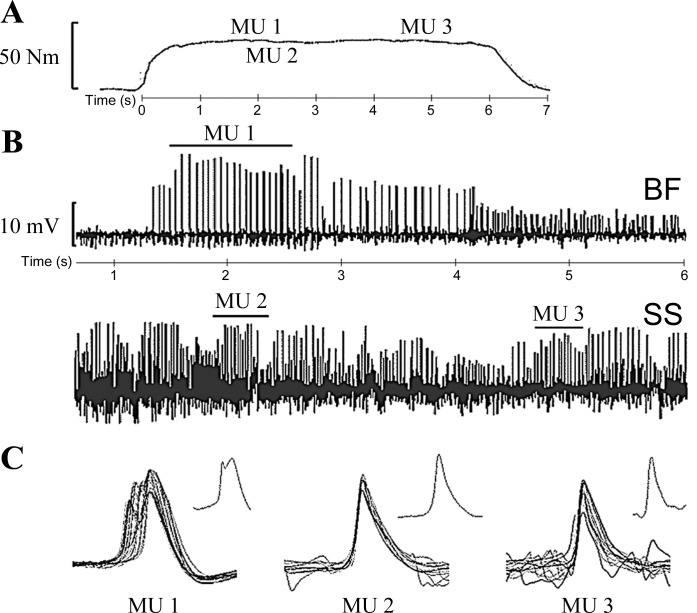 Fig. 1.