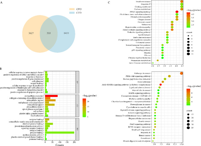 Bisphenol A disrupts renal metabolism via MAPK-mediated steroid hormone ...