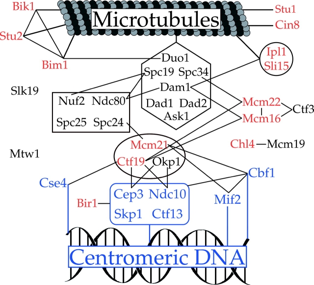 Figure 6.