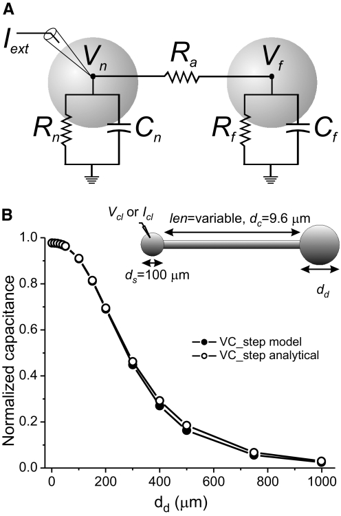 Fig. 8.