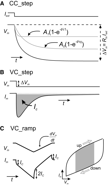 Fig. 1.