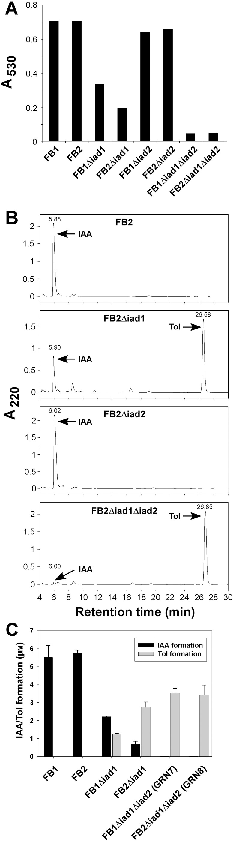 Figure 5