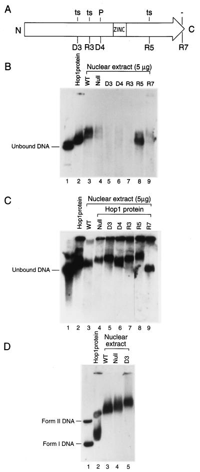 FIG. 9