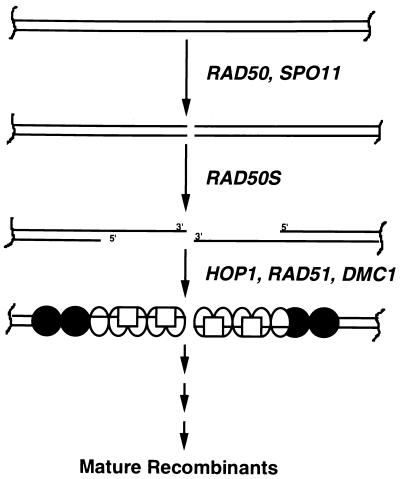 FIG. 10