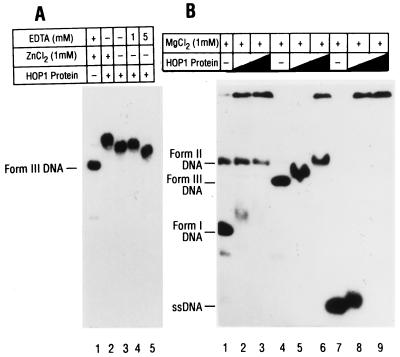 FIG. 7