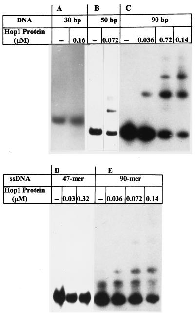 FIG. 5