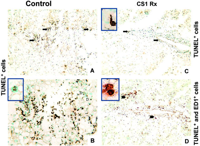 Figure 10.