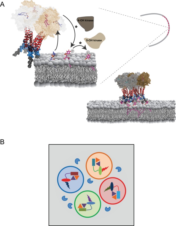 FIGURE 10: