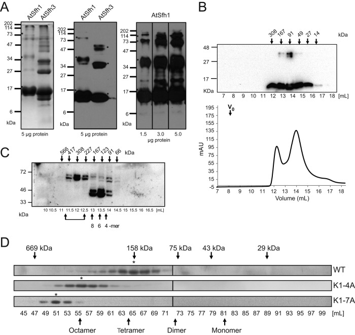 FIGURE 7: