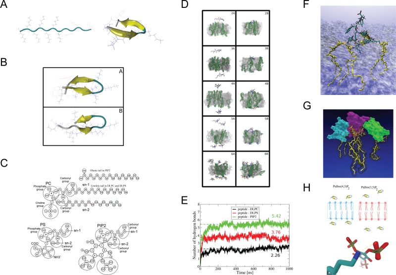 FIGURE 4: