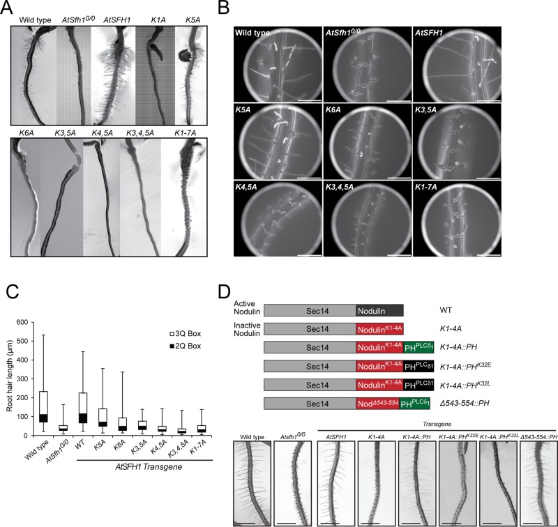 FIGURE 6: